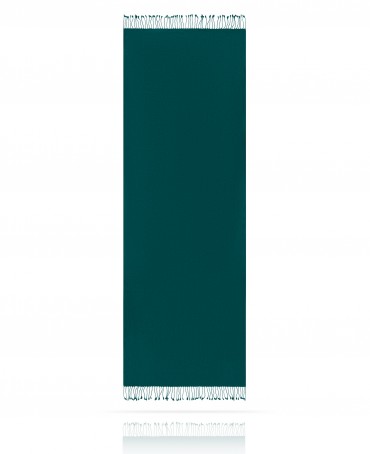 Палантин Унисекс CASHSILK-5050/VERT.PAON