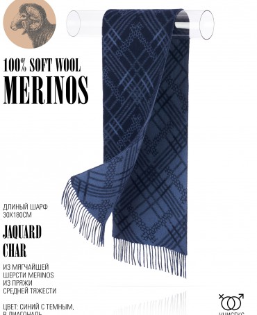 Шарф Унисекс FJq.W220_TNGZ-17-6/CHAR