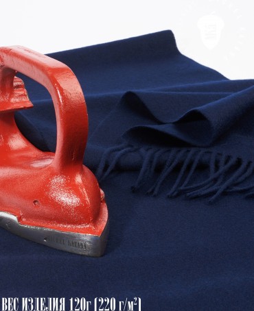 Шарф Унисекс FT.W220_40/BLUE