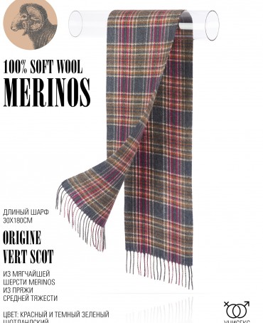 Шарф Унисекс FT.W220_A50/VERT.SCOT