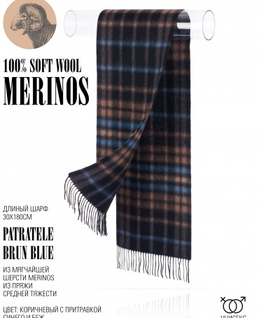 Шарф Унисекс FTQ.W220_A103/BRUN