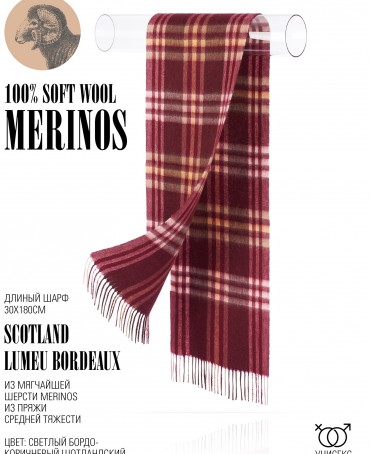 Шарф Унисекс FTQ.W220_A81-2/LT.BORD