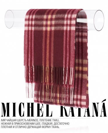 Шарф Унисекс FTQ.W220_A81-2/LT.BORD