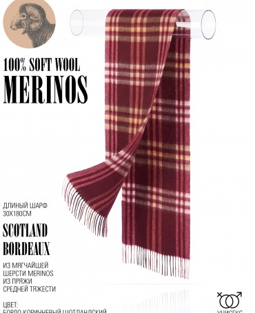 Шарф Унисекс FTQ.W220_A81/BORD