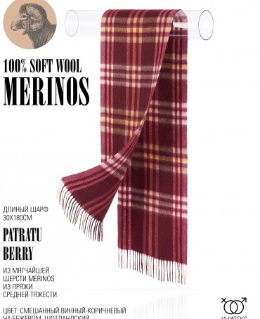 Шарф Унисекс FTQ.W220_A84/BERRY