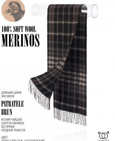 Шарф Унисекс FTQ.W220_A93-2/BRUN
