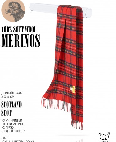 Шарф Унисекс FTQ.W220_TNGZ-10/SCOT