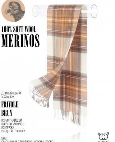 Шарф Унисекс FTQ.W220_TNGZ-4/BRUN