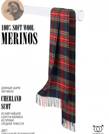 Шарф Унисекс FTQ.W220_VI2020-11/SCOT