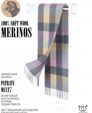 Шарф Унисекс FTQ.W220_VN2386-7/MULT7