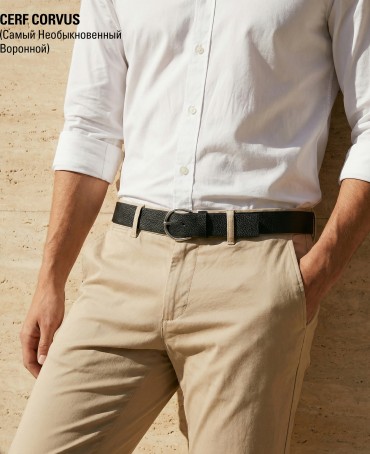 Ремень-Пояс Унисекс MIDE.CERF-40-UNi/CORVUS