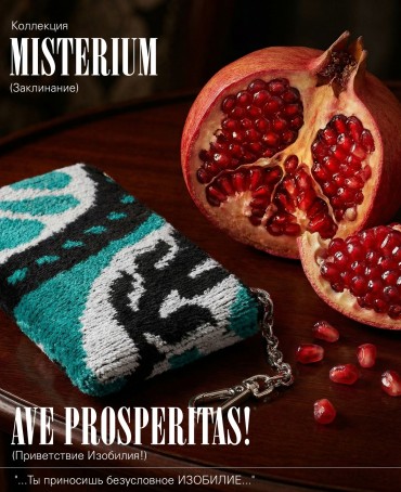 Ключница из Шелка Унисекс AVE PROSPERITAS!_Key/L