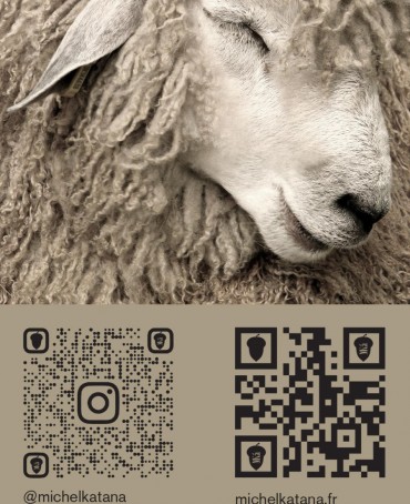 Шарф Унисекс FTQ.W220_5100303.75/BLEU