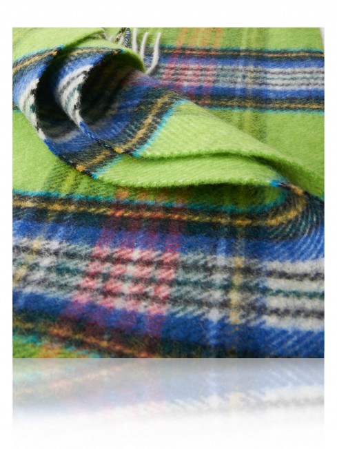 Длиный Шарф из мягчайшей шерсти Merinos (Twill) ЖАСМИН-ГРИИН FTQ.W120_VI-2347-1-25/VERT