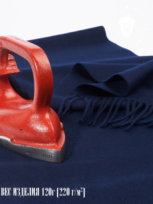 Шарф Унисекс FT.W220_40/BLUE