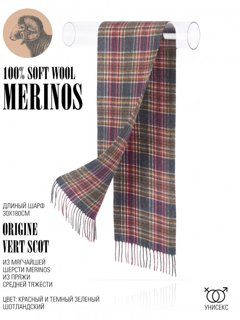 Шарф Унисекс FT.W220_A50/VERT.SCOT