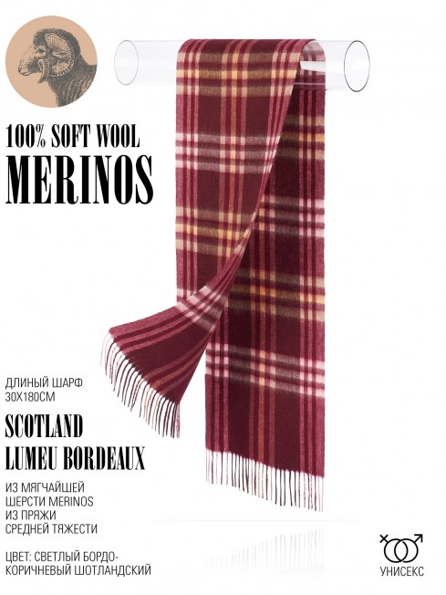 Шарф Унисекс FTQ.W220_A81-2/LT.BORD