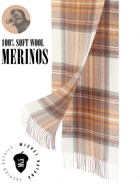 Шарф Унисекс FTQ.W220_TNGZ-4/BRUN