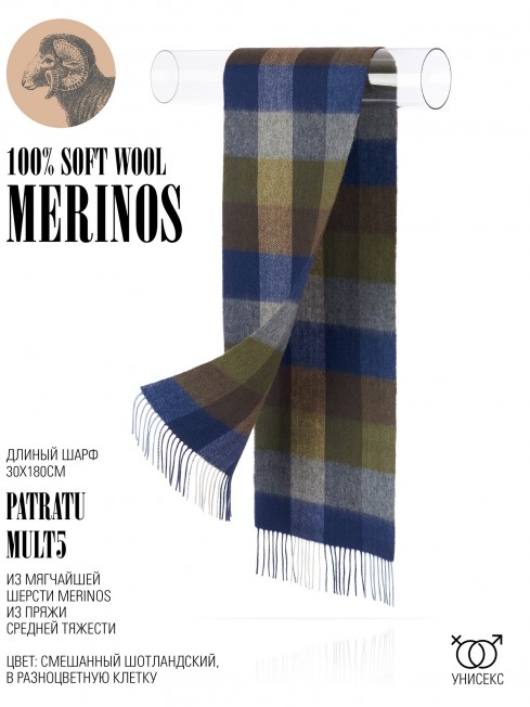 Шарф Унисекс FTQ.W220_VN2386-5/MULT5