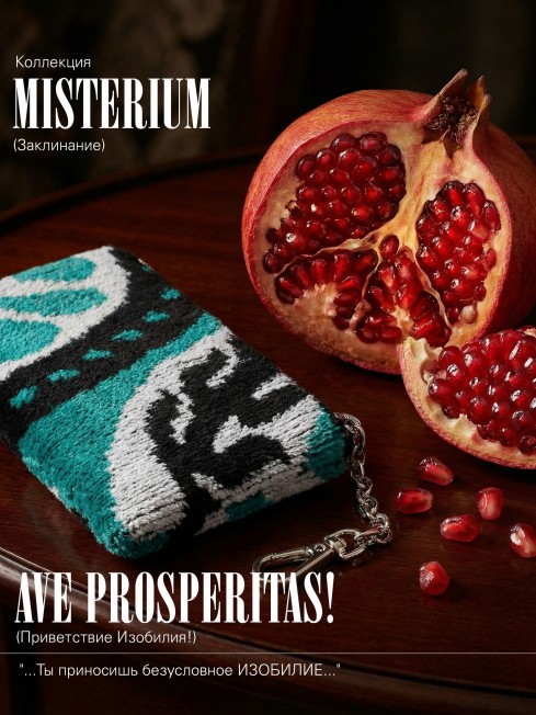 Ключница из Шелка Унисекс AVE PROSPERITAS!_Key/L